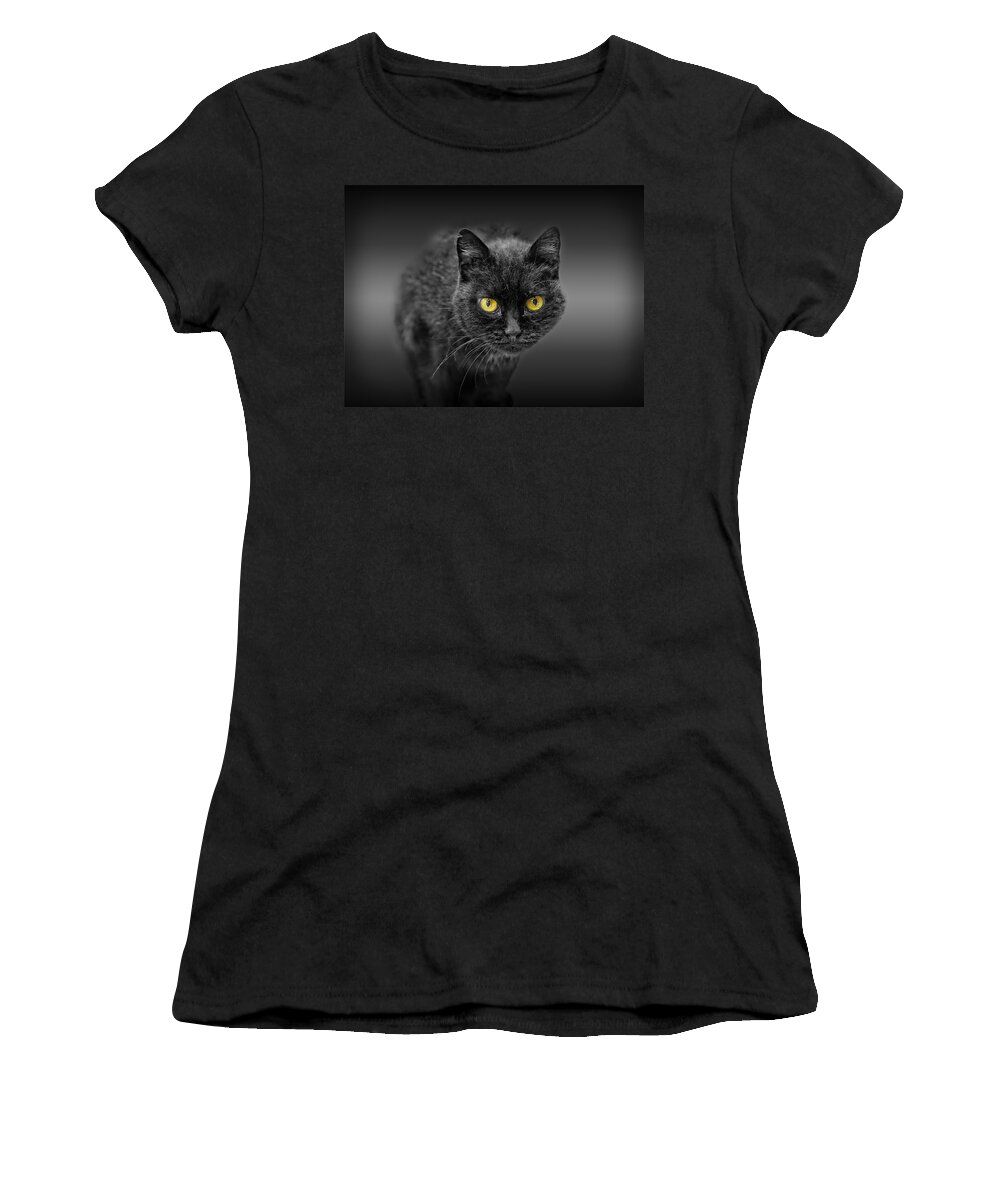 Animal Women's T-Shirt featuring the photograph Black Cat by Peter Lakomy