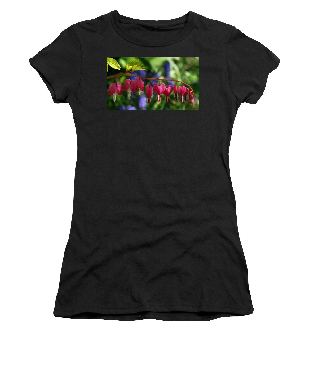 Flowers Women's T-Shirt featuring the photograph Bleeding Hearts by David T Wilkinson