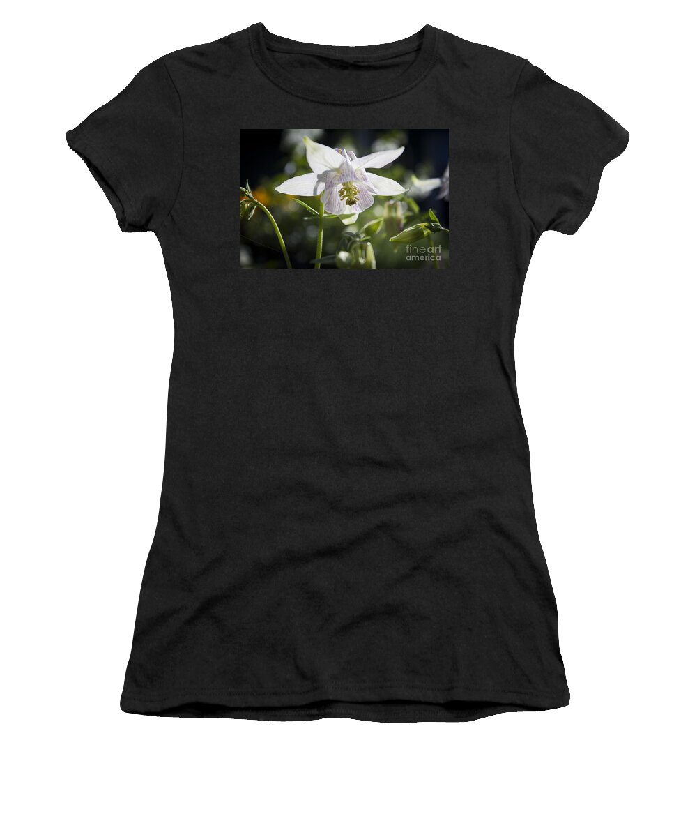 Columbine Women's T-Shirt featuring the photograph Blooming Columbine by Brad Marzolf Photography