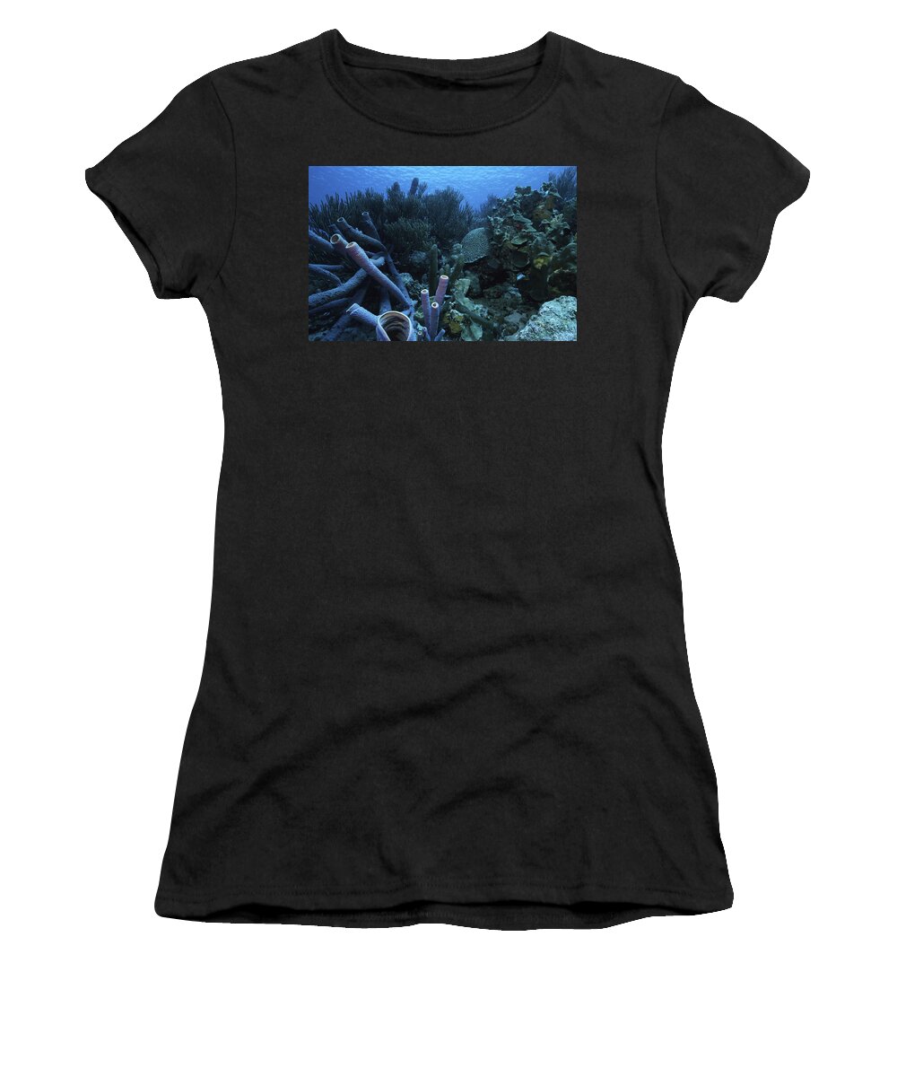Angle Women's T-Shirt featuring the photograph Blue by Sandra Edwards