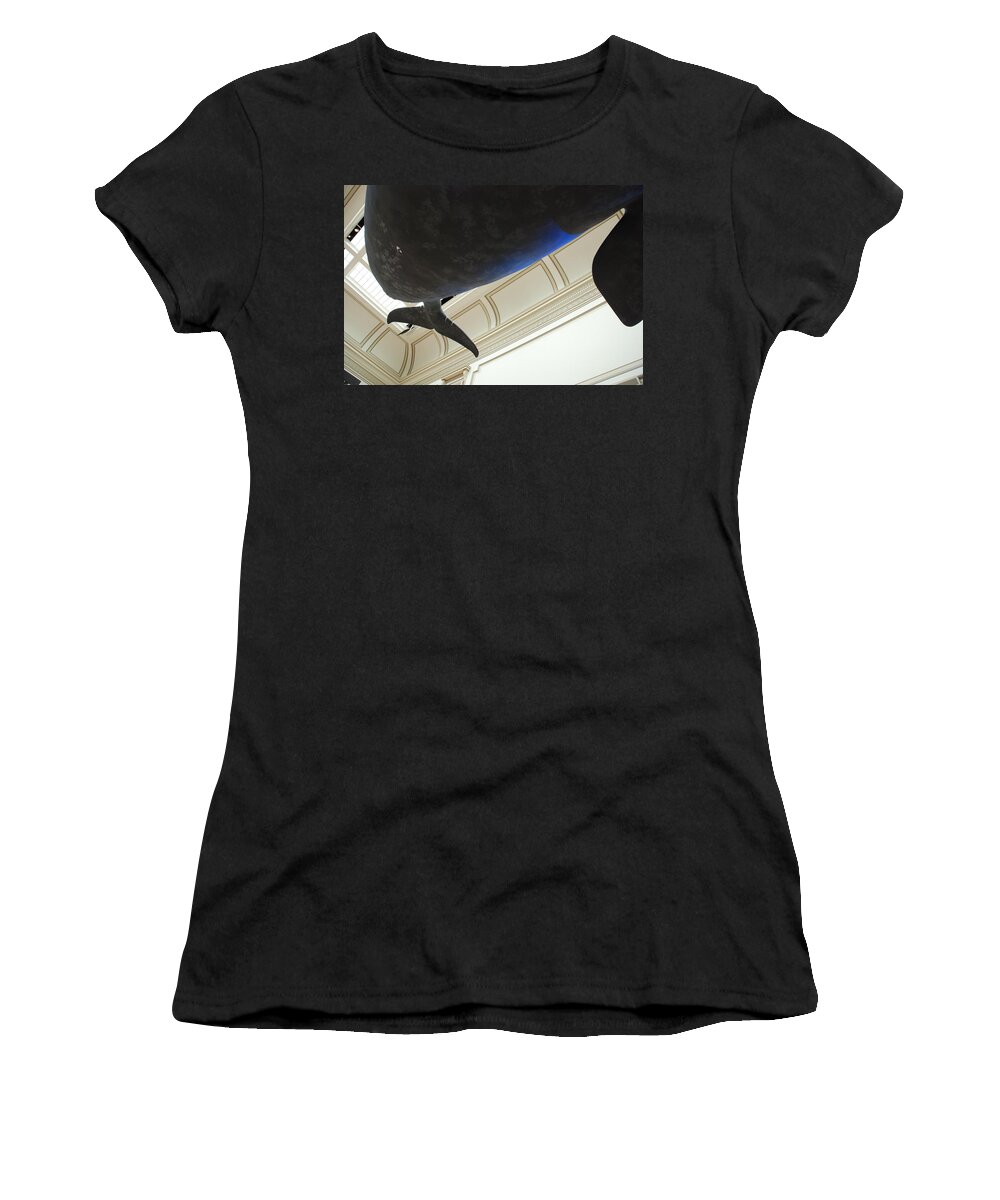 Blue Whale Women's T-Shirt featuring the photograph Blue Whale Experience by Kenny Glover