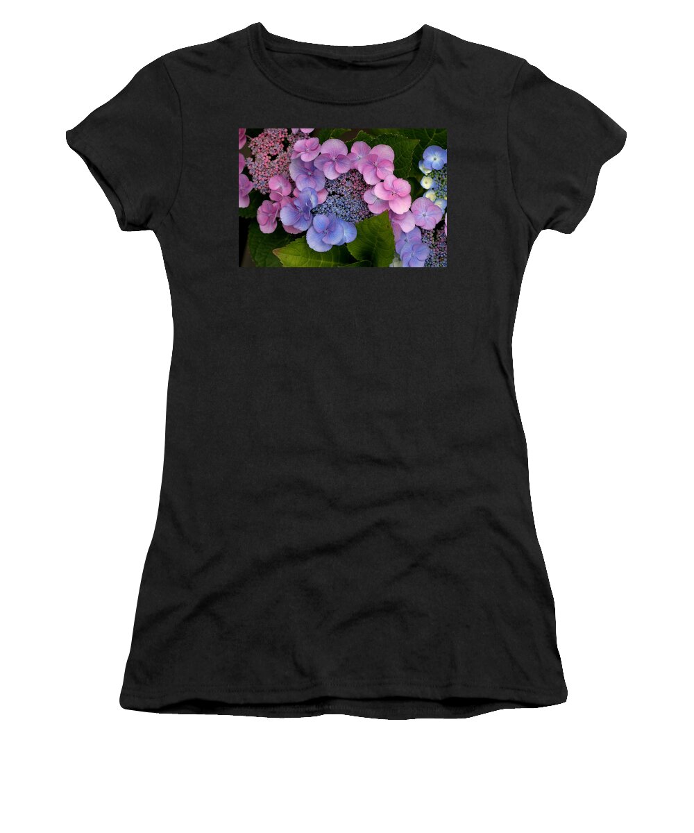 Hydrangea Women's T-Shirt featuring the photograph Blueberries and Cream by Living Color Photography Lorraine Lynch