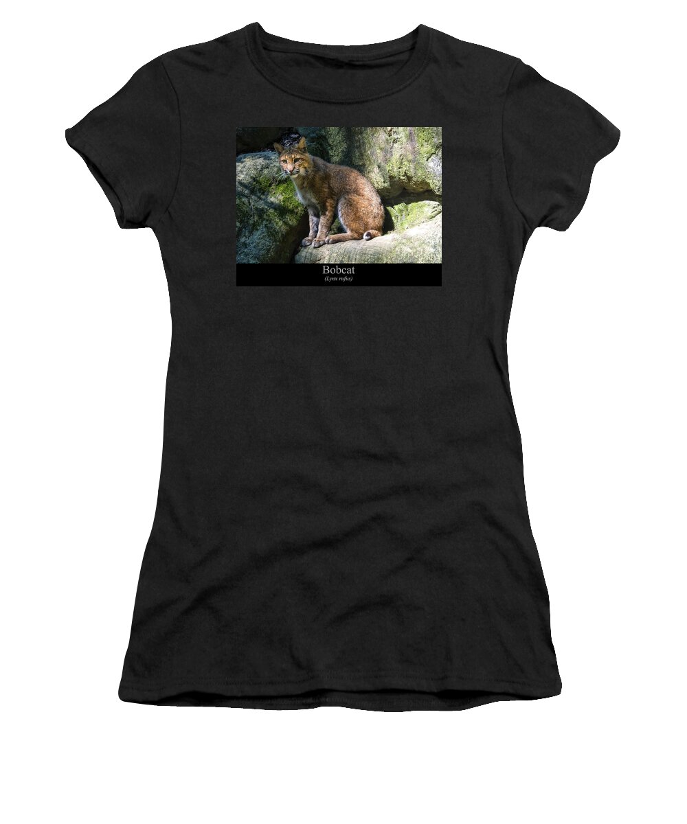 Class Room Posters Women's T-Shirt featuring the digital art Bobcat by Flees Photos