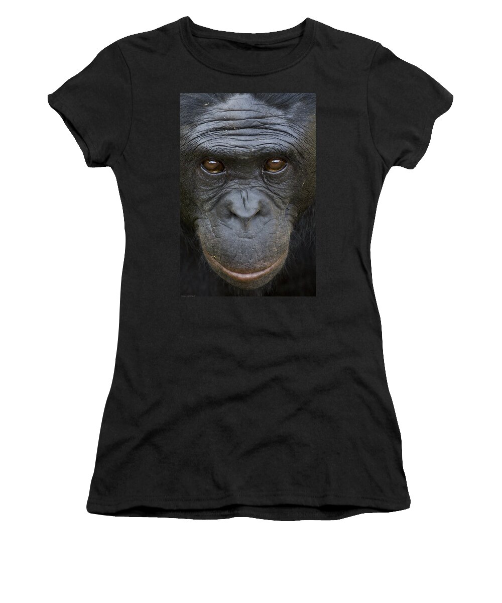 Feb0514 Women's T-Shirt featuring the photograph Bonobo Portrait by San Diego Zoo