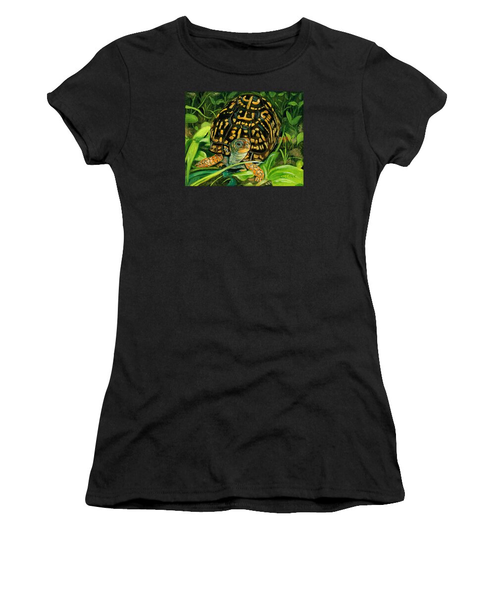 Turtle Women's T-Shirt featuring the painting Box Turtle by Jill Ciccone Pike