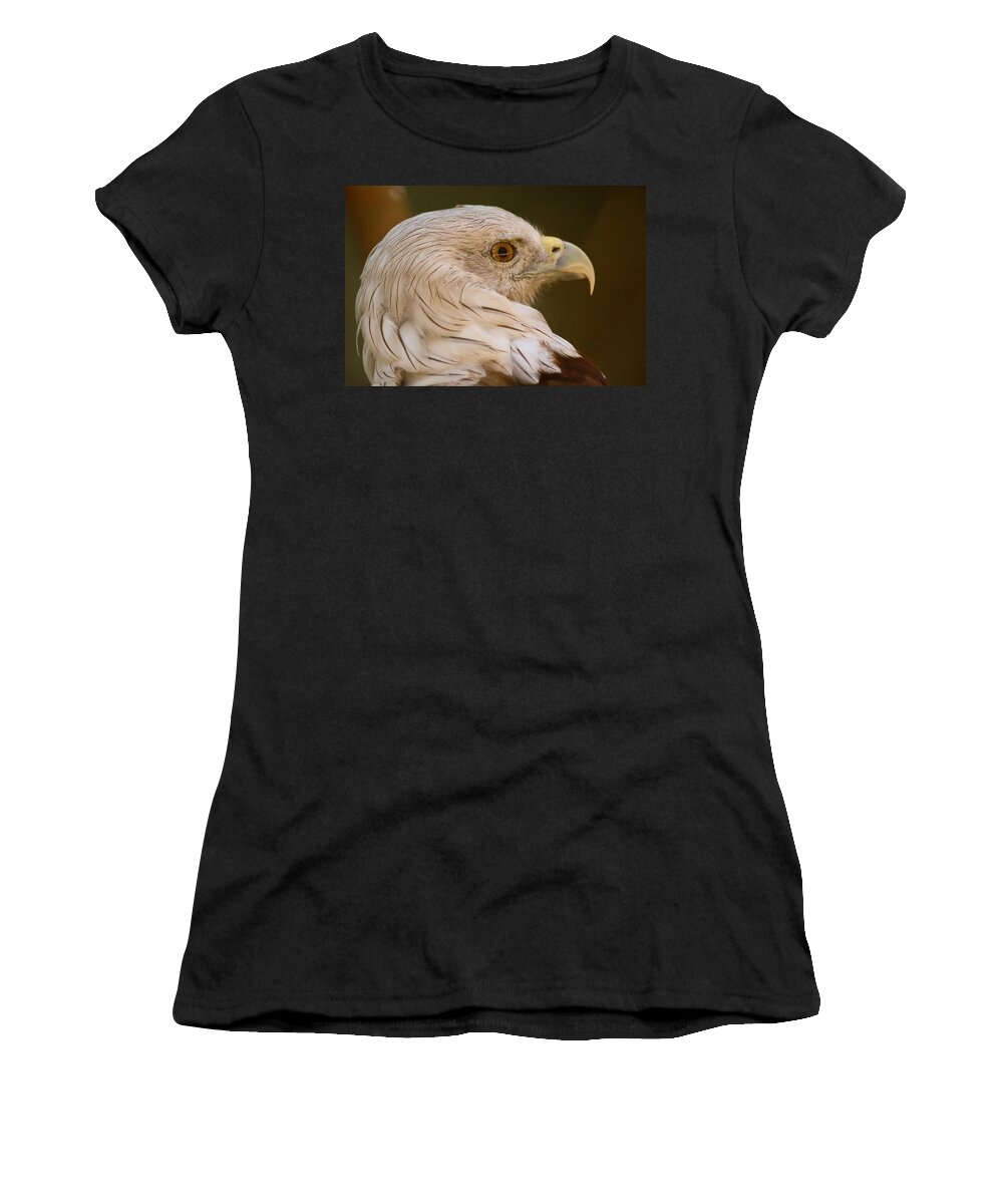 Shimoga Women's T-Shirt featuring the photograph Brahminy Kite by SAURAVphoto Online Store