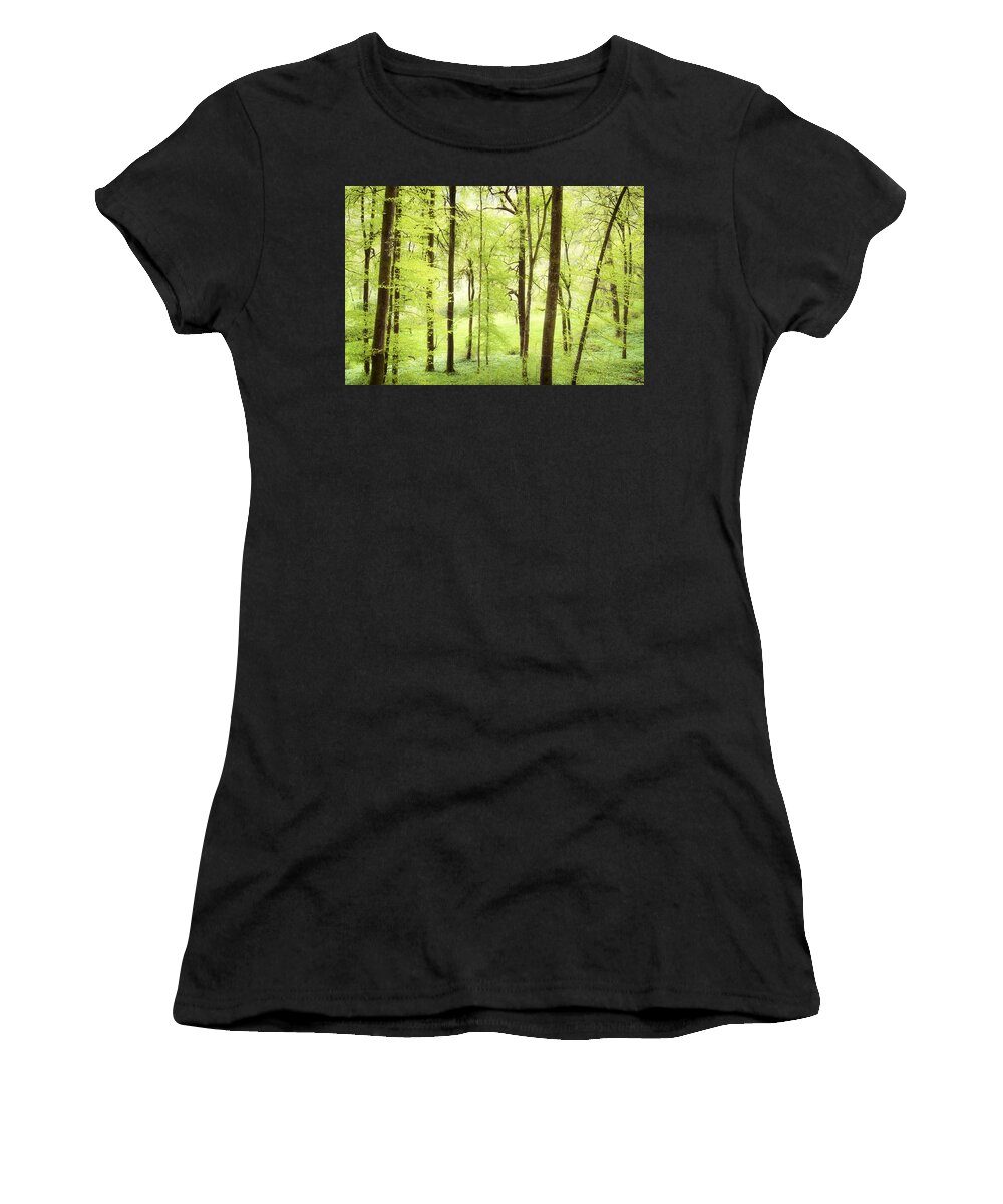 Green Women's T-Shirt featuring the photograph Bright green forest in spring with beautiful soft light by Matthias Hauser