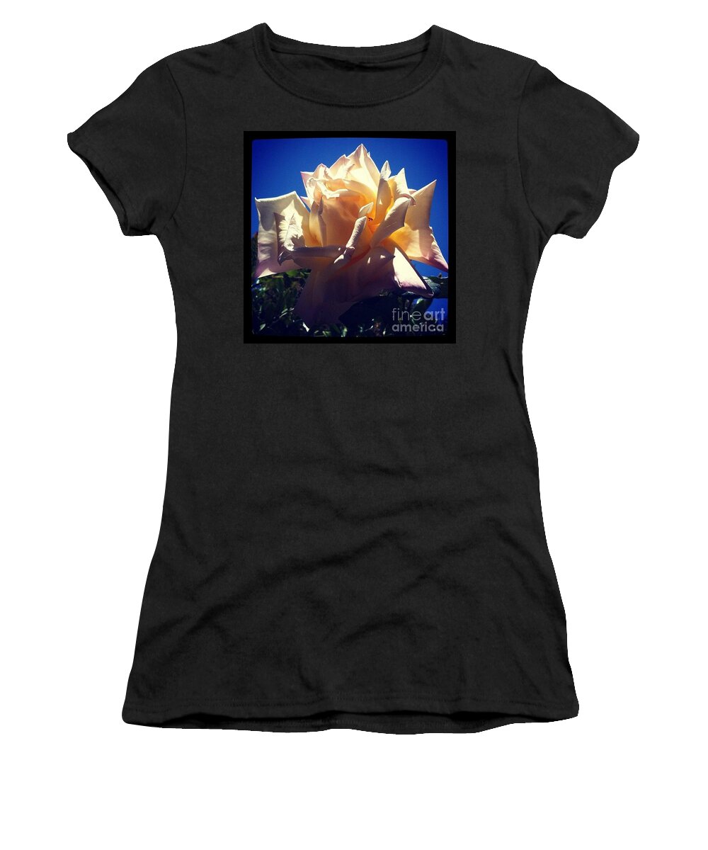 Rose Women's T-Shirt featuring the photograph Bright Rose Dark Sky by Denise Railey