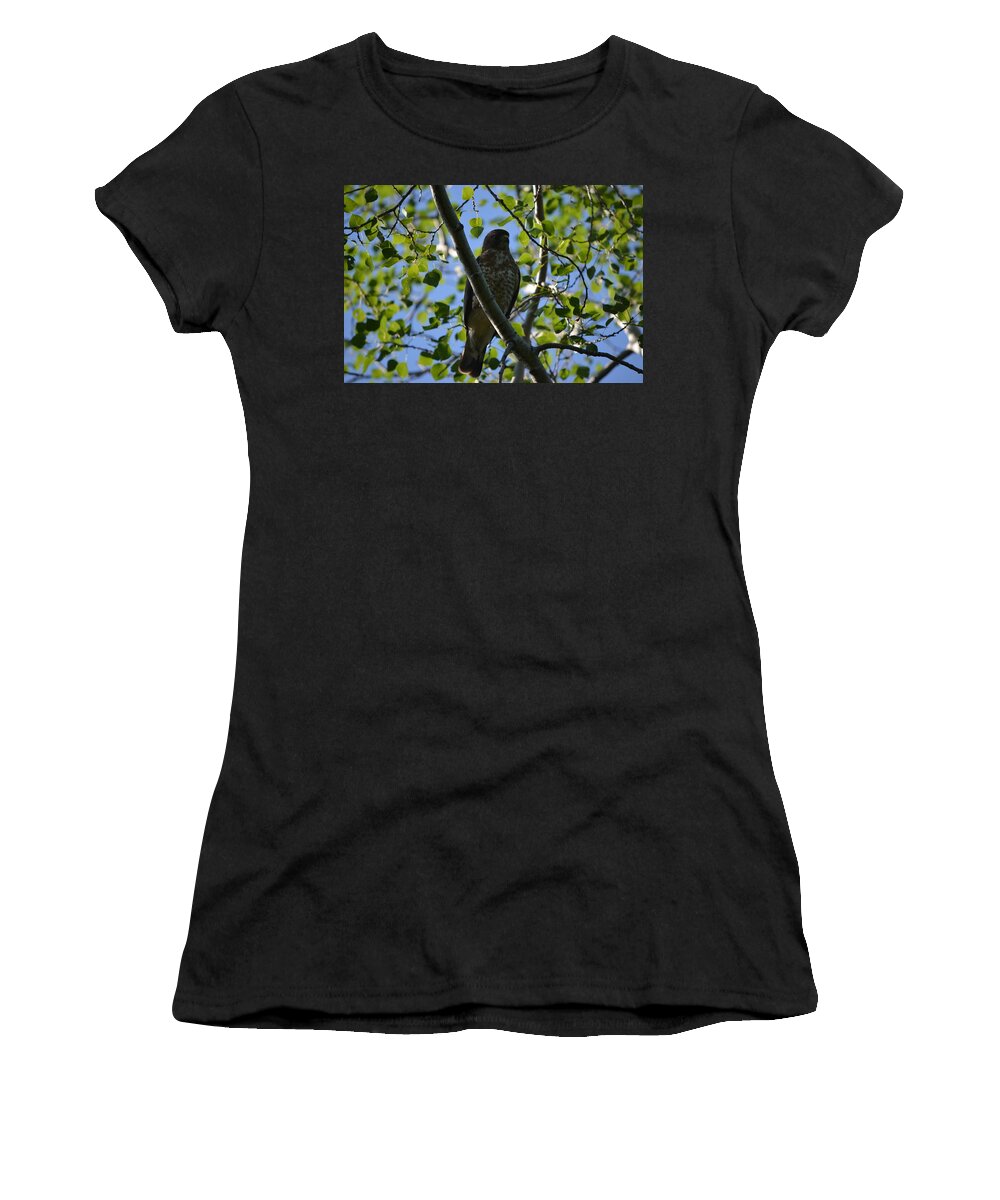 Nature Women's T-Shirt featuring the photograph Broad-winged Hawk by James Petersen