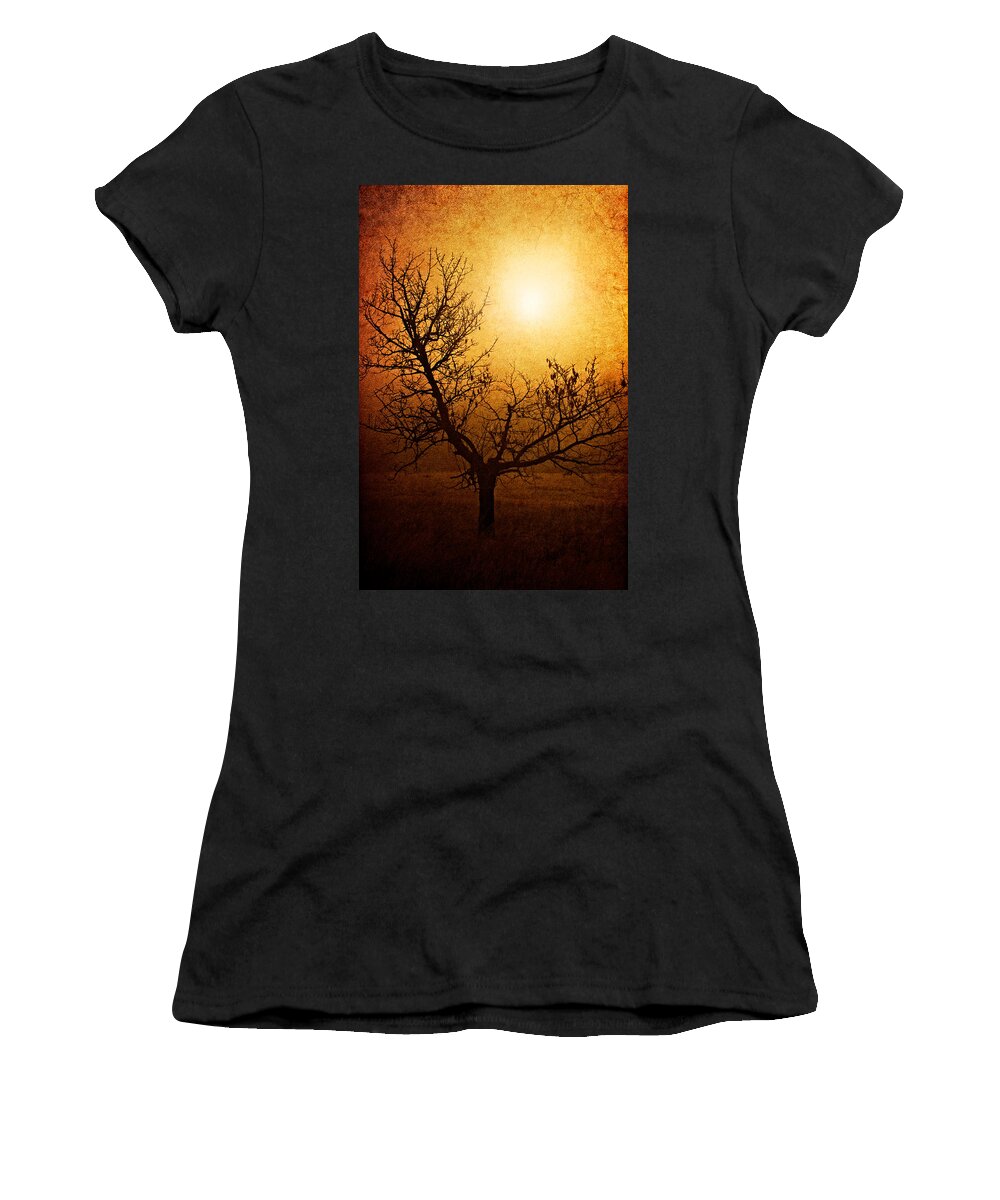 Tree Women's T-Shirt featuring the photograph Brotherhood of Light by Roman Solar