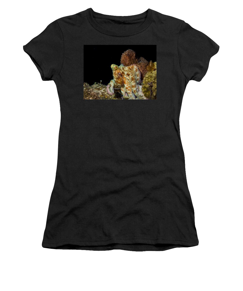 Caribbean Women's T-Shirt featuring the photograph Caribbean Reef Octopus by Matt Swinden