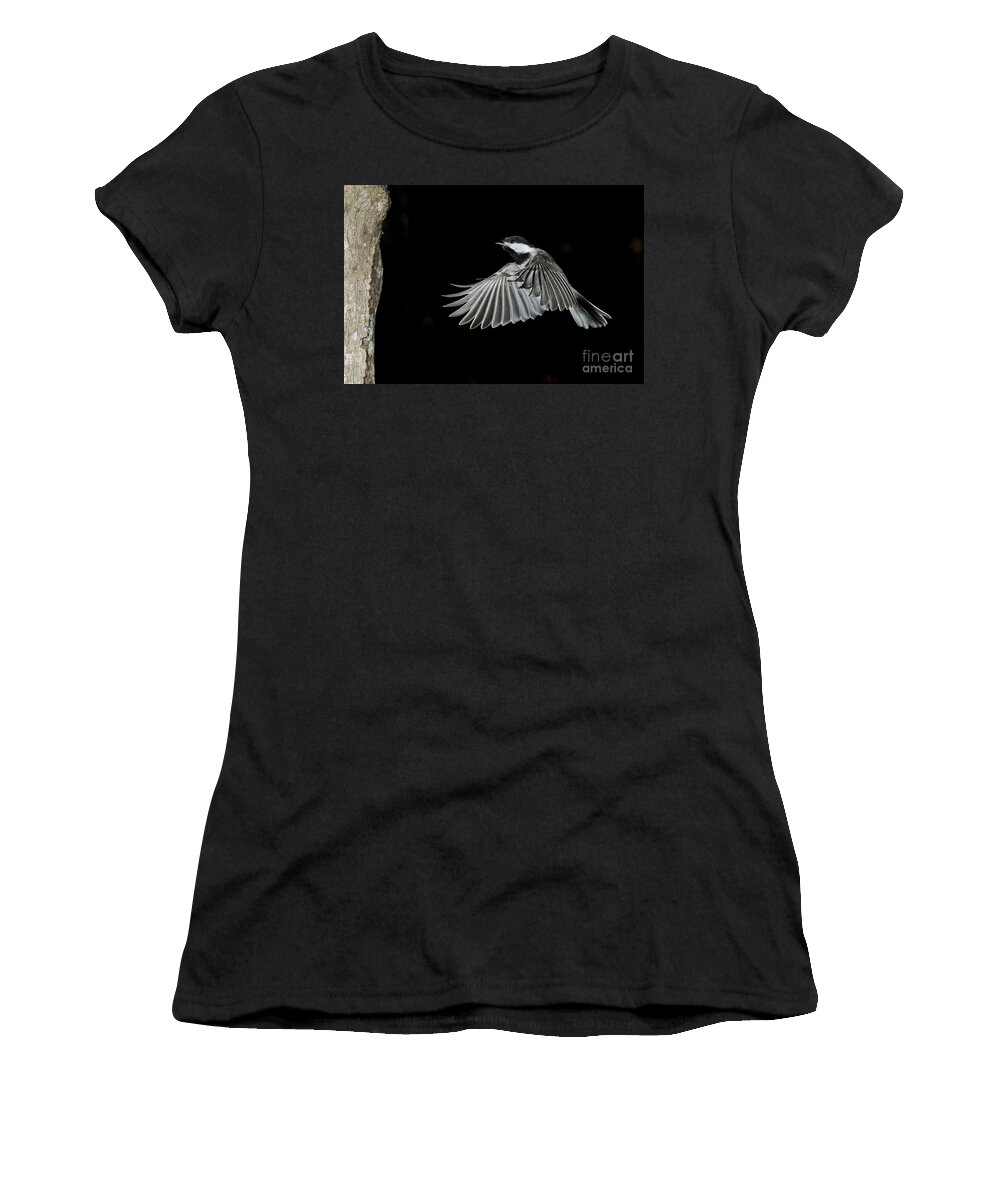 Carolina Chickadee Women's T-Shirt featuring the photograph Carolina Chickadee by Anthony Mercieca