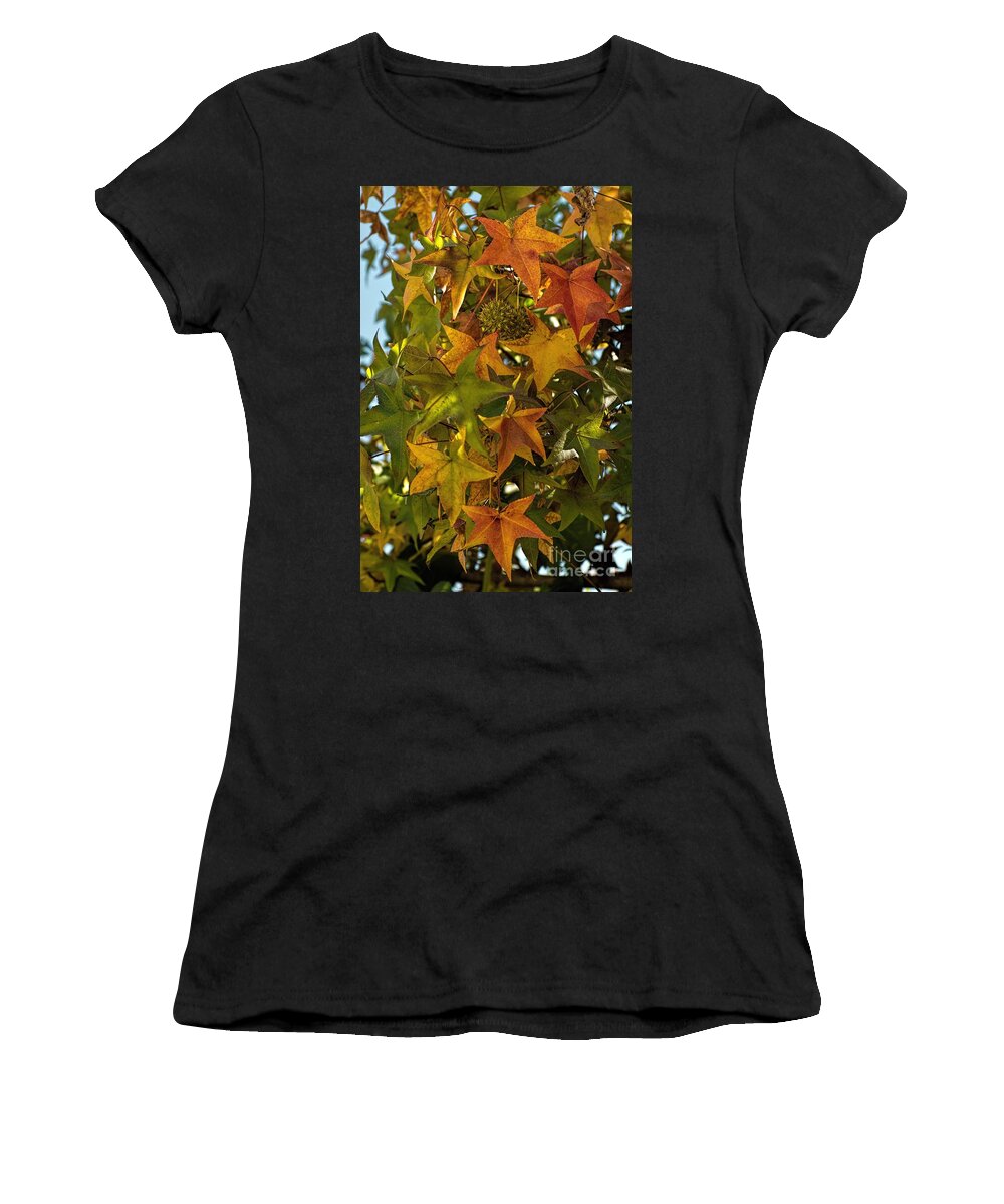 Autumn Women's T-Shirt featuring the photograph Changing Seasons by Peggy Hughes