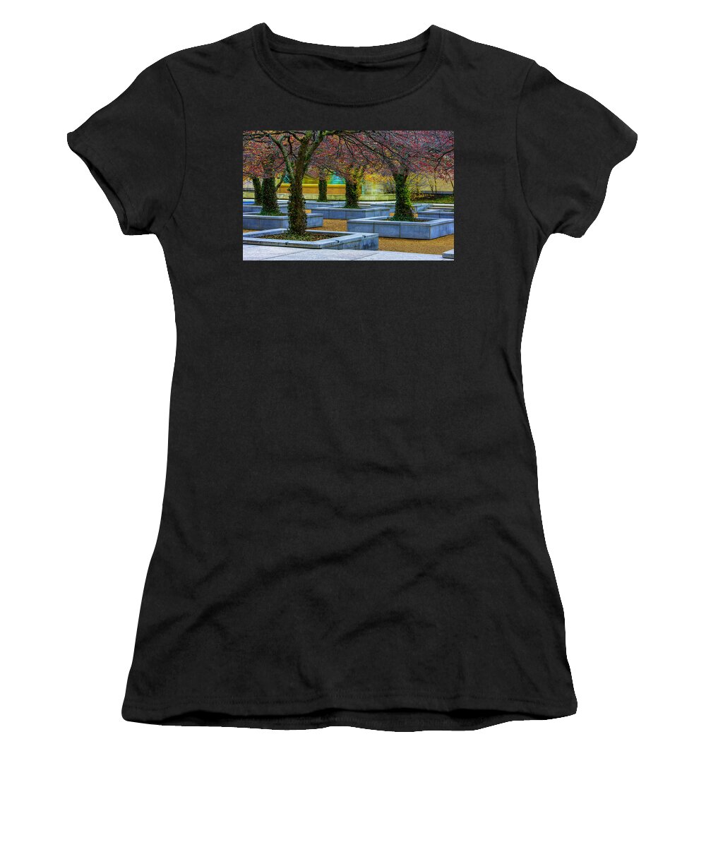 Trees Women's T-Shirt featuring the photograph Chicago Art Institute South Garden by Raymond Kunst