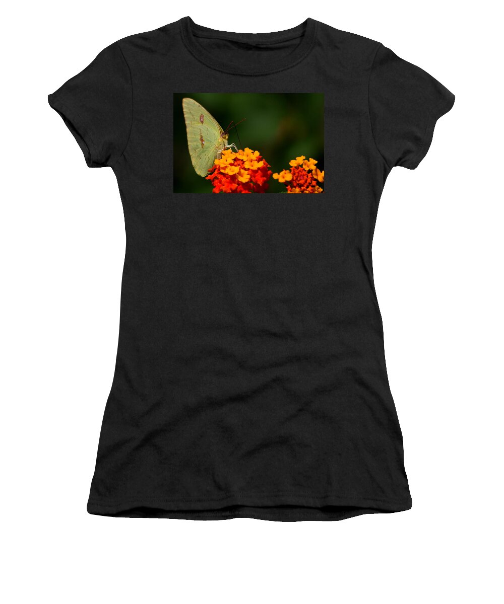Butterfly Photography Women's T-Shirt featuring the photograph Closeness by Reid Callaway
