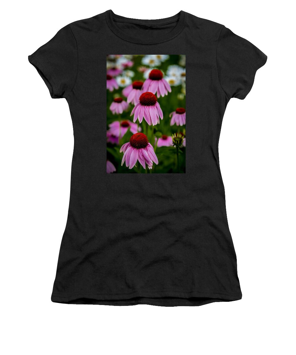 Art Women's T-Shirt featuring the photograph Coneflowers in Front of Daisies by Ron Pate