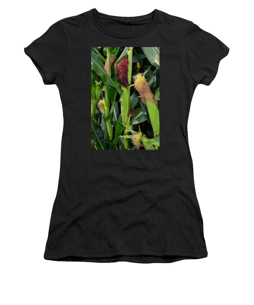 Amish Women's T-Shirt featuring the photograph Corn Growing by Tana Reiff