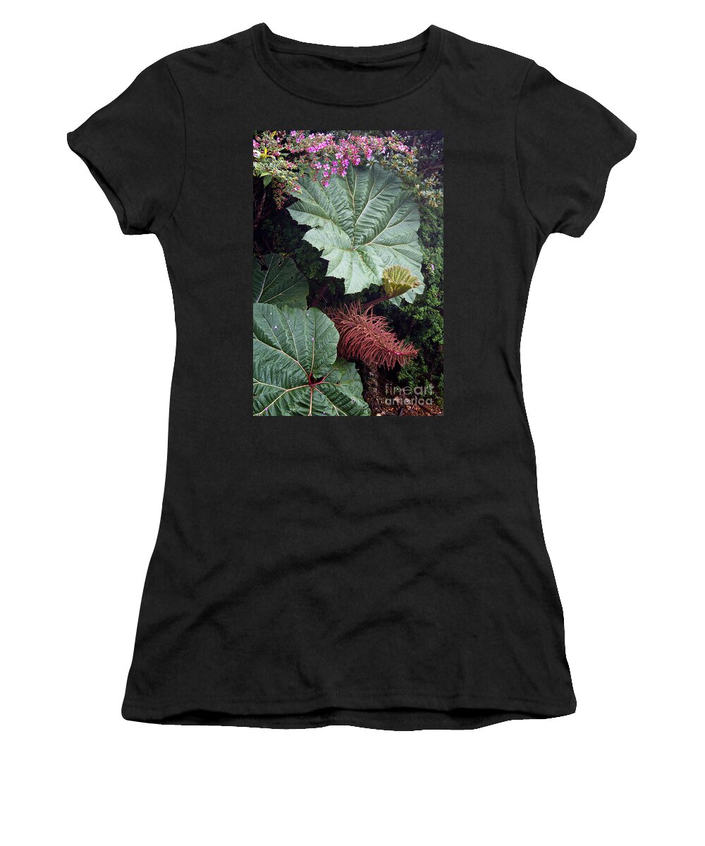 Costa Rica Women's T-Shirt featuring the photograph Costa Rica Rain Forest by Carrie Cranwill
