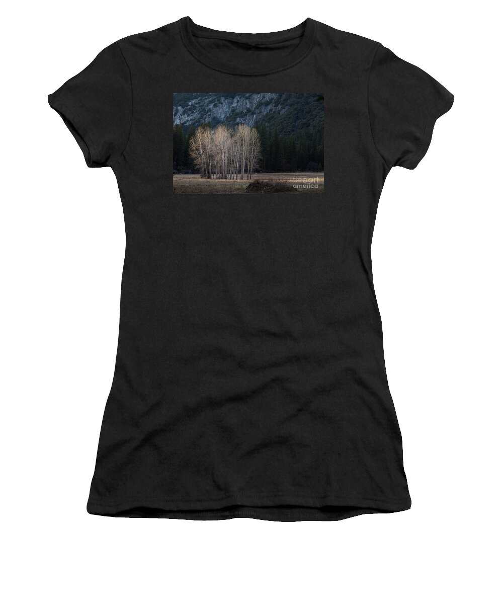 Ahwahnee Area Women's T-Shirt featuring the photograph Cottonwoods in winter light by Dan Hartford