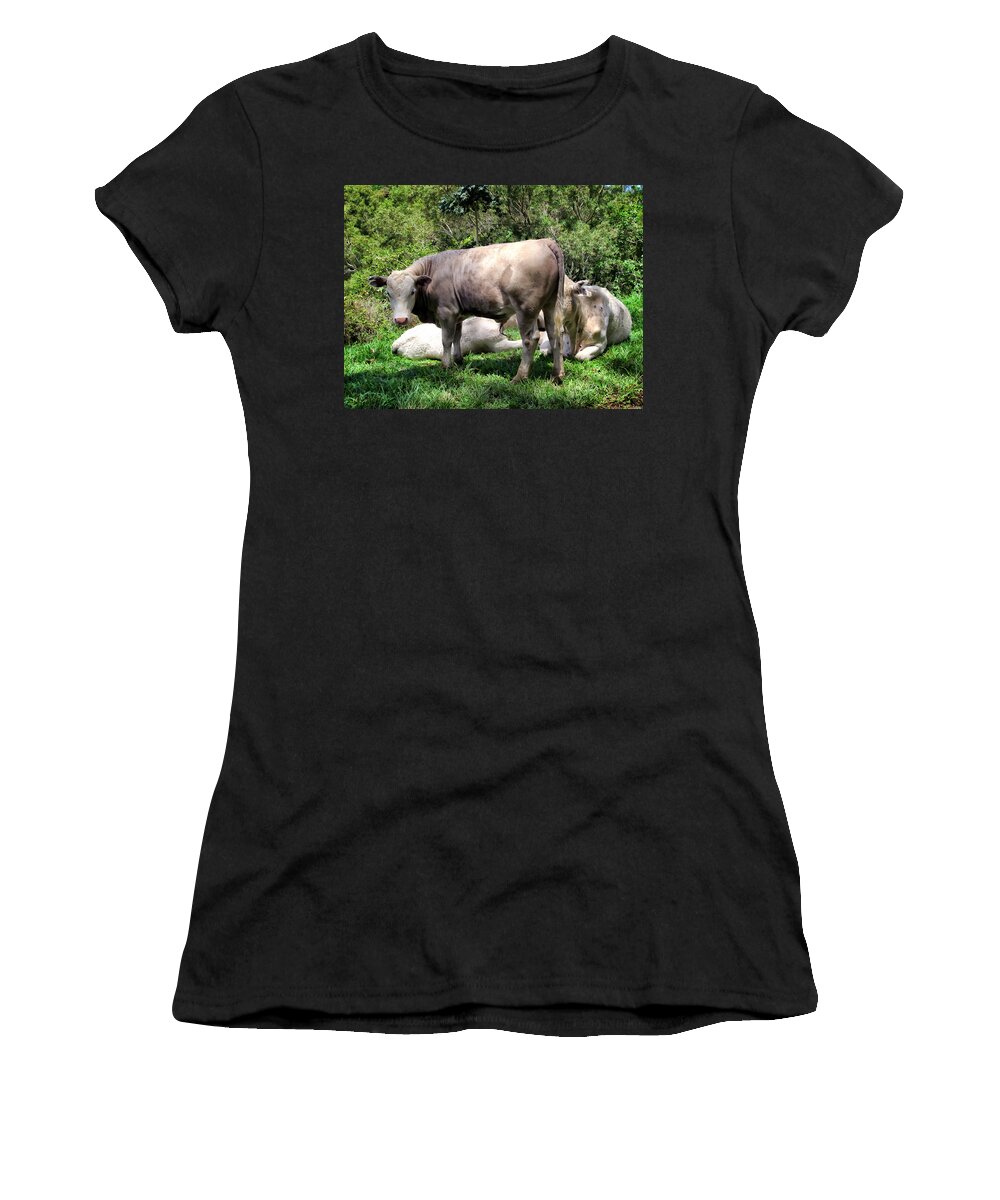Cattle Women's T-Shirt featuring the photograph Cow 5 by Dawn Eshelman