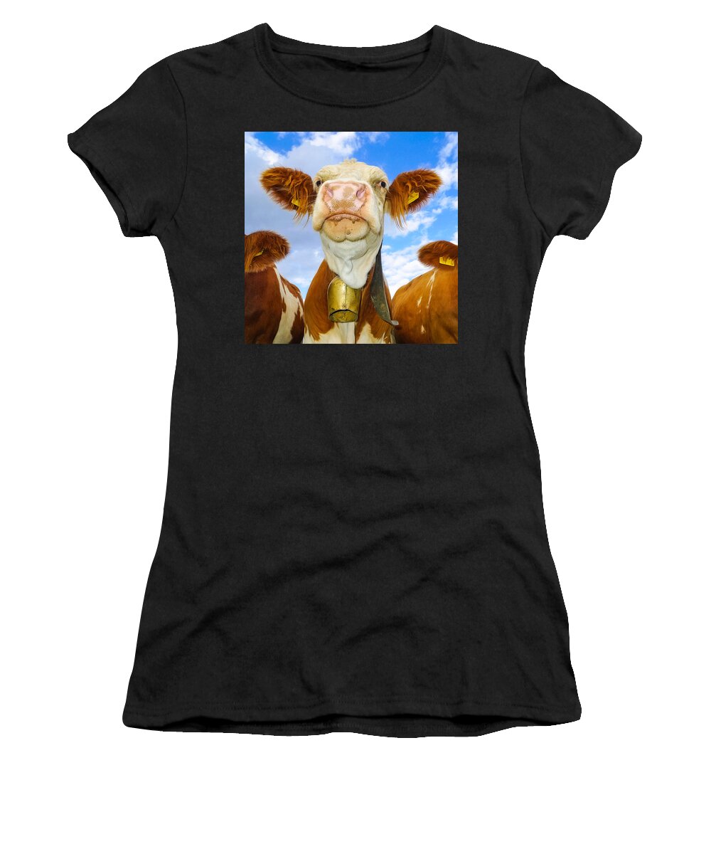 Cow Women's T-Shirt featuring the photograph Cow looking at you - funny animal picture by Matthias Hauser