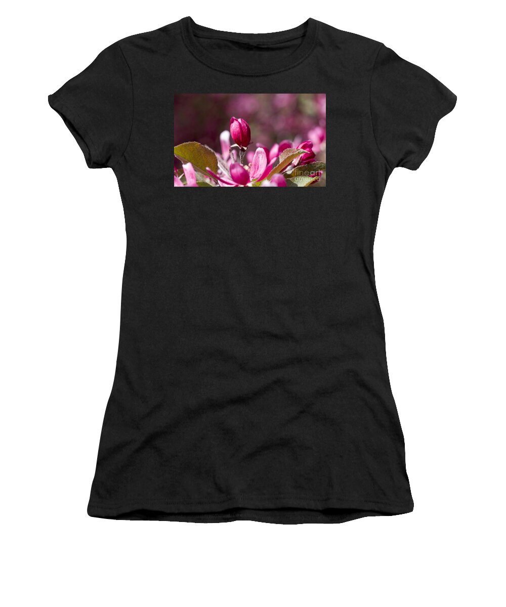 Arboretum Women's T-Shirt featuring the photograph Crabapple bud by Steven Ralser