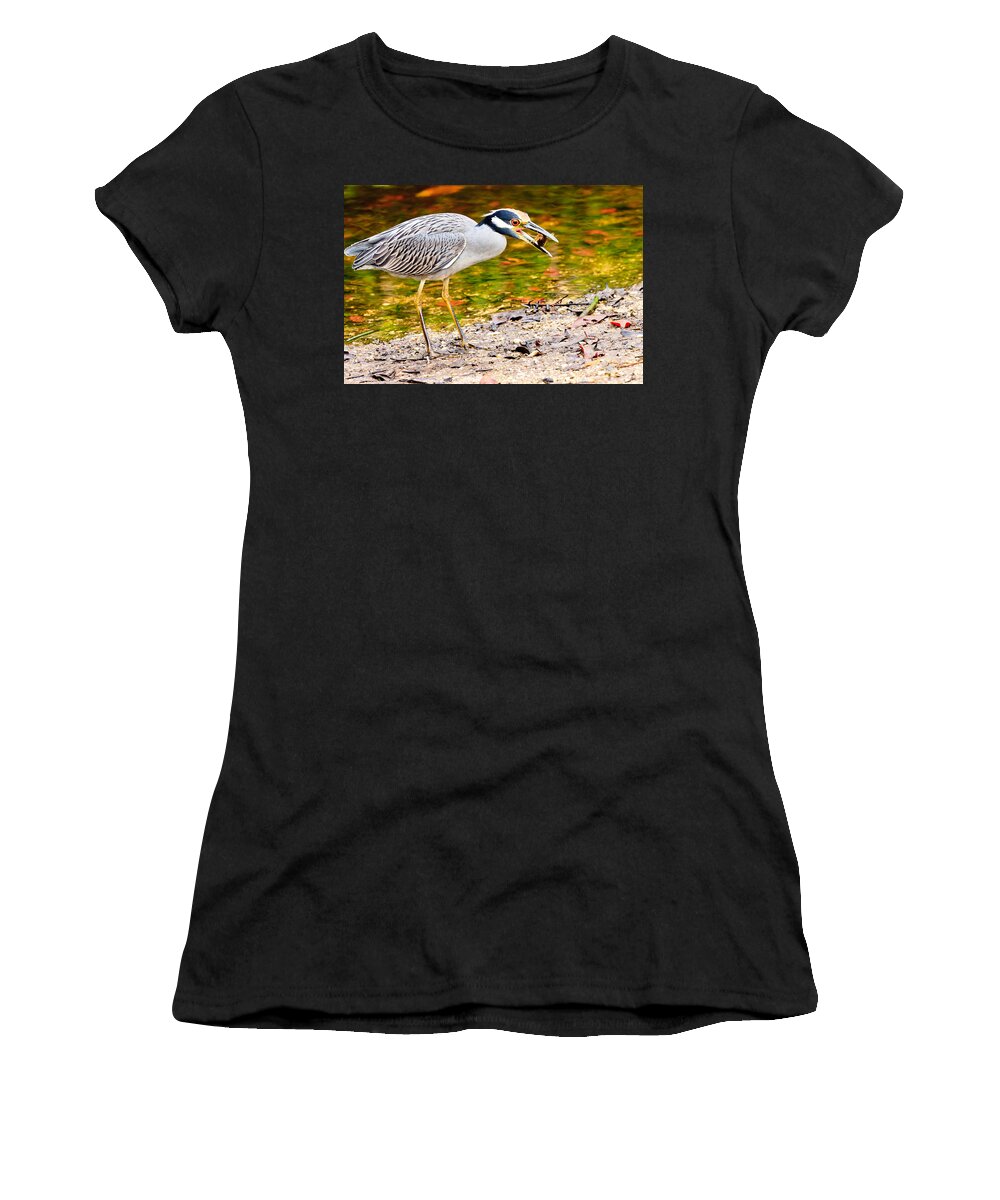 Yellow Crowned Night Heron Women's T-Shirt featuring the photograph Crabbing in Florida by Ben Graham