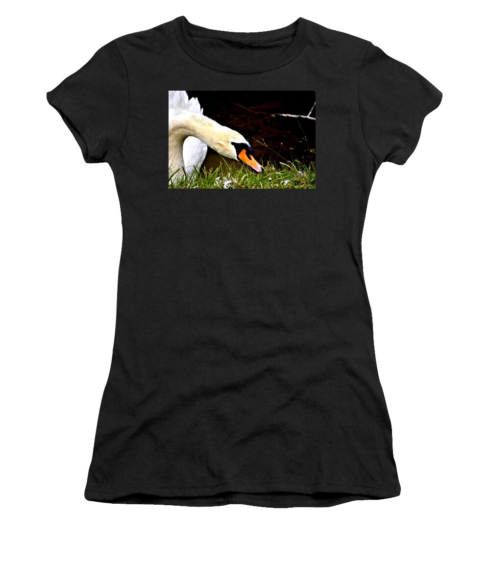 Swan Women's T-Shirt featuring the photograph Curious Swan by Tara Potts