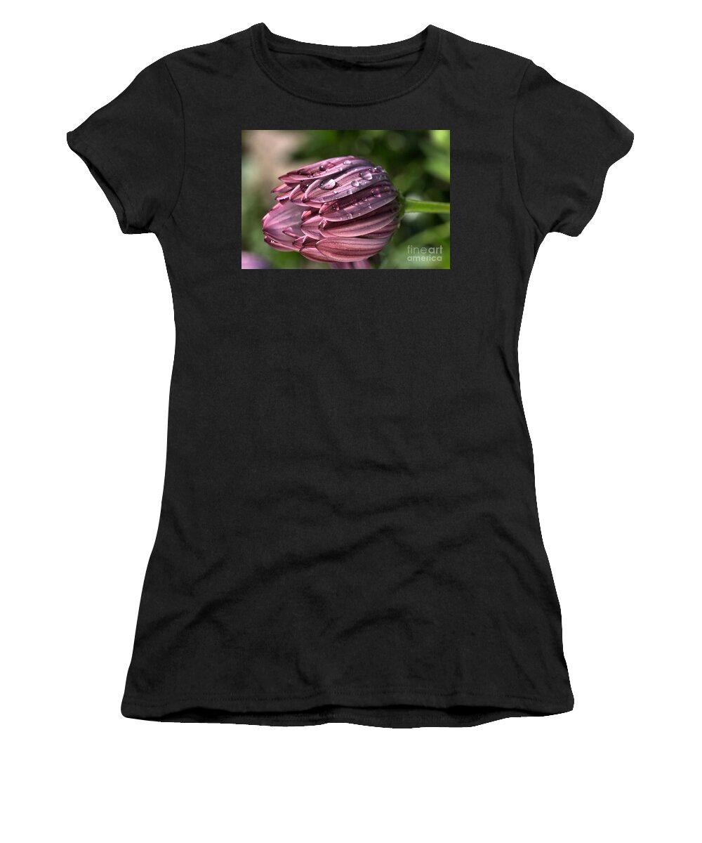 Osteospermum Women's T-Shirt featuring the photograph Daisy with Rain drops by Joy Watson