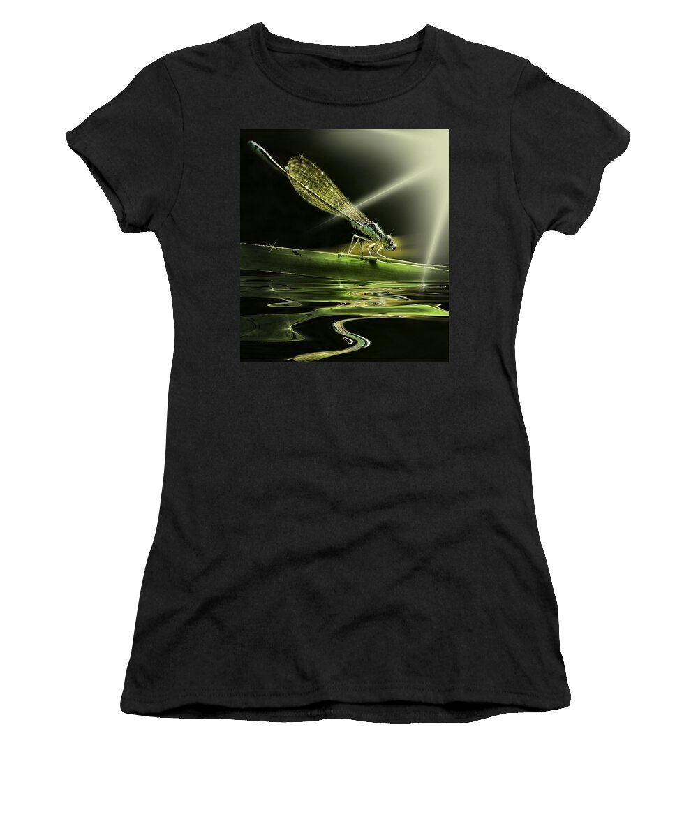 Dragon Fly With Sparkling Reflections Women's T-Shirt featuring the photograph Damsel Dragon fly with sparkling reflection by Peter V Quenter