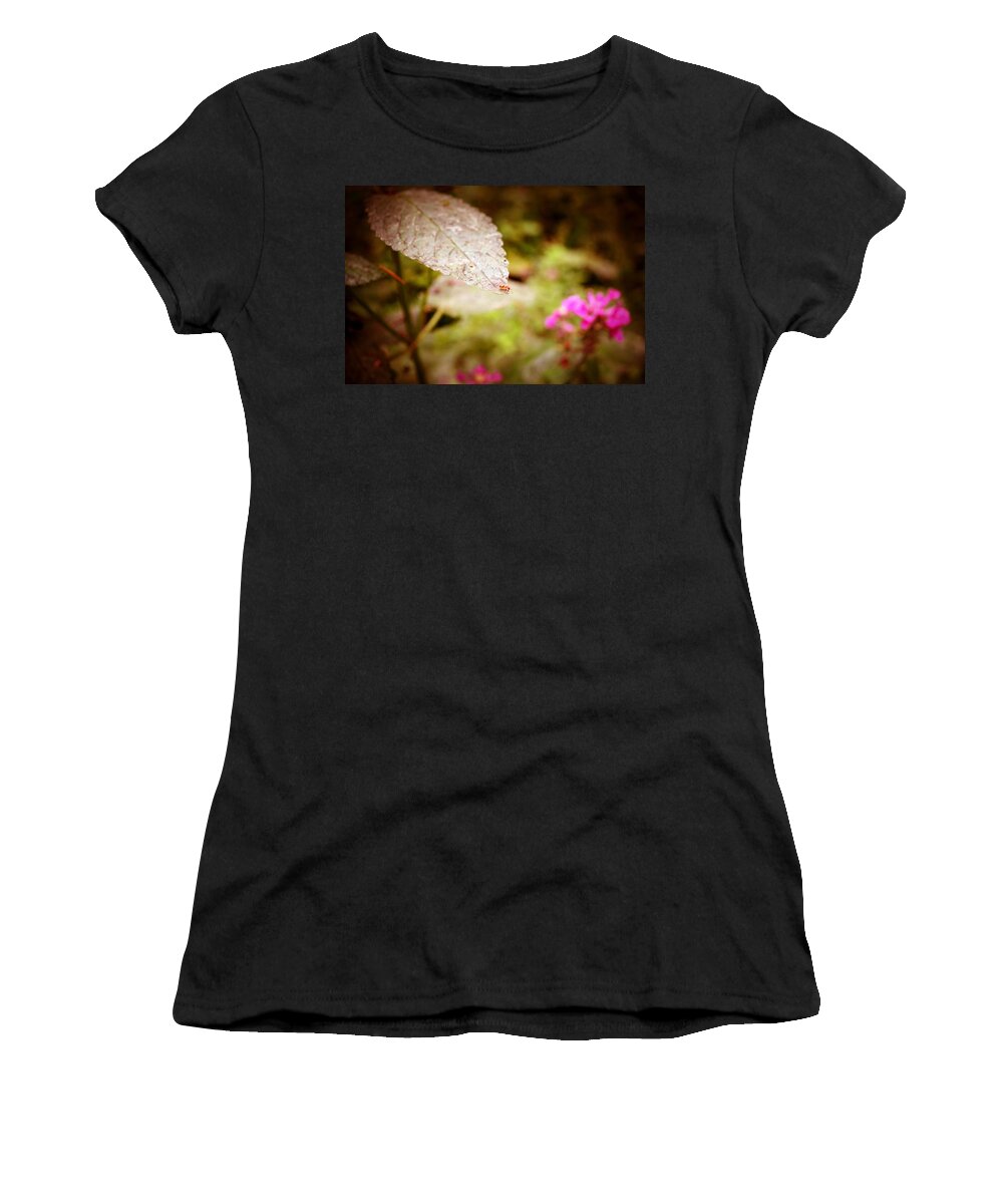 Red Ant Women's T-Shirt featuring the photograph Don't Look Down by Laureen Murtha Menzl