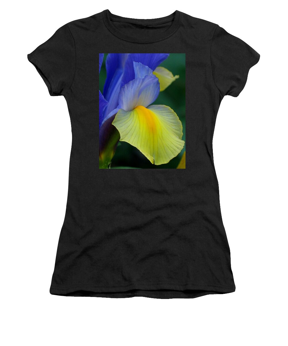 Iris Women's T-Shirt featuring the photograph Dutch Beauty by Jennifer Wheatley Wolf