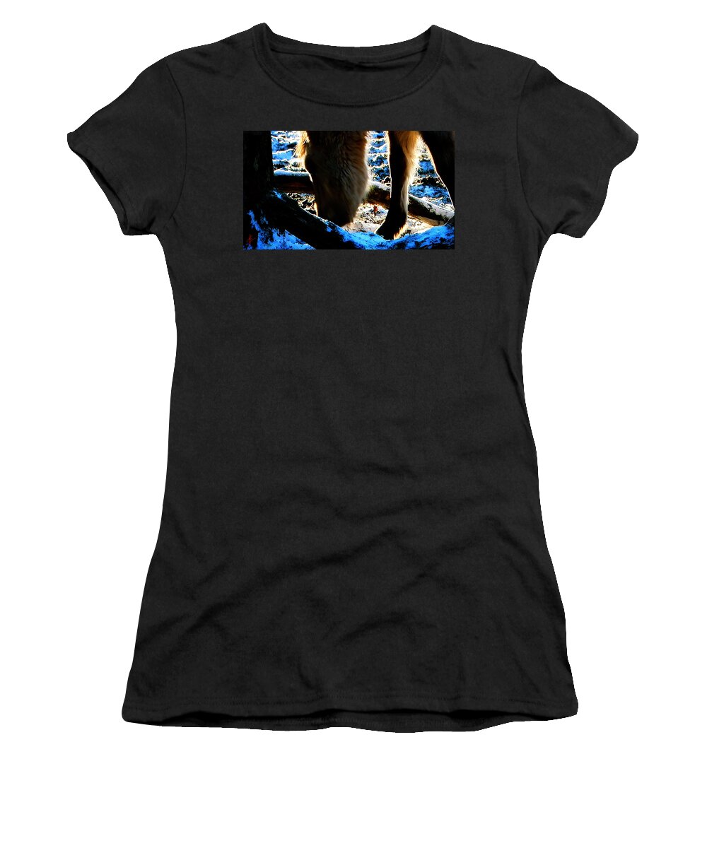 Colette Women's T-Shirt featuring the photograph Early Morning by Colette V Hera Guggenheim