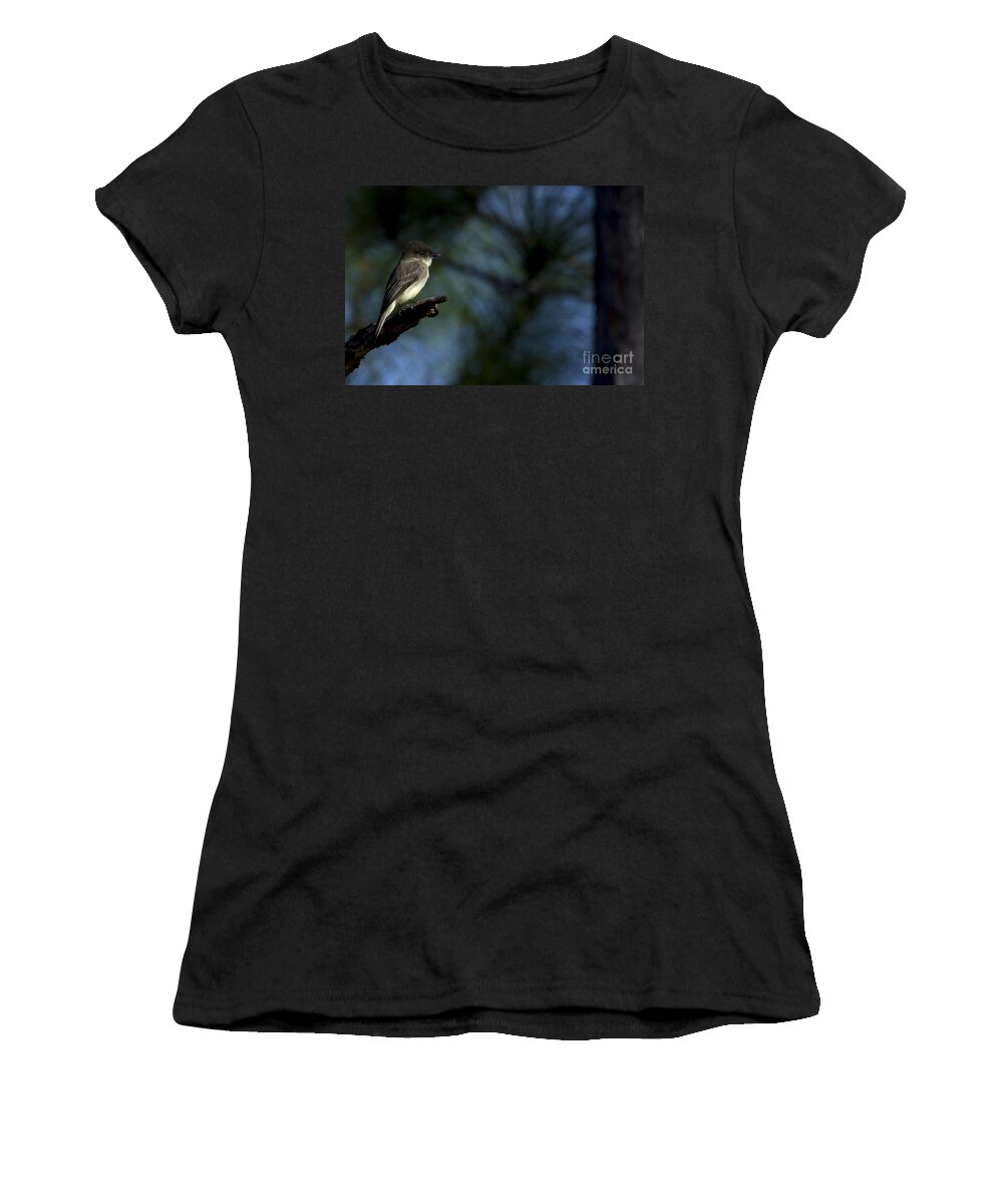 Prairie Pines Women's T-Shirt featuring the photograph Eastern Phoebe by Meg Rousher