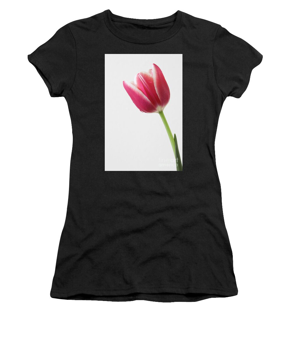 Tulips Women's T-Shirt featuring the photograph Elegance by Anita Oakley