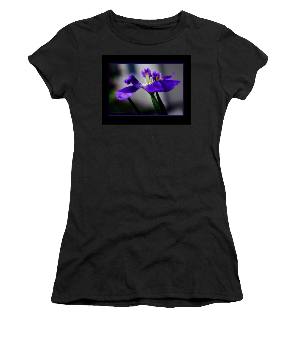 Iris Women's T-Shirt featuring the photograph Elegant Iris with Black Border by Lucy VanSwearingen