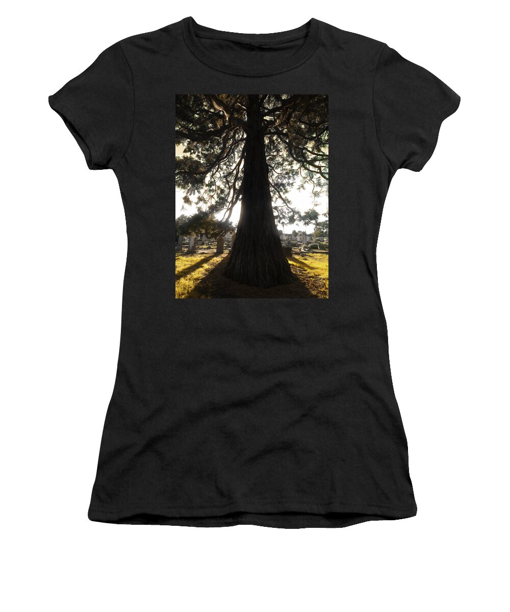 Art Women's T-Shirt featuring the photograph Embracing the Morning Light by Steve Taylor