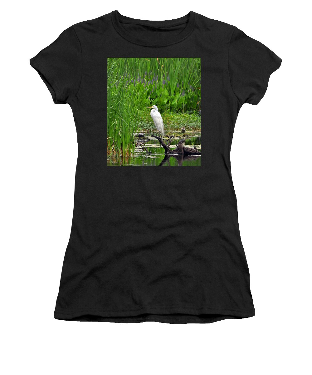 Egret Women's T-Shirt featuring the photograph Enticing Egret by Al Powell Photography USA