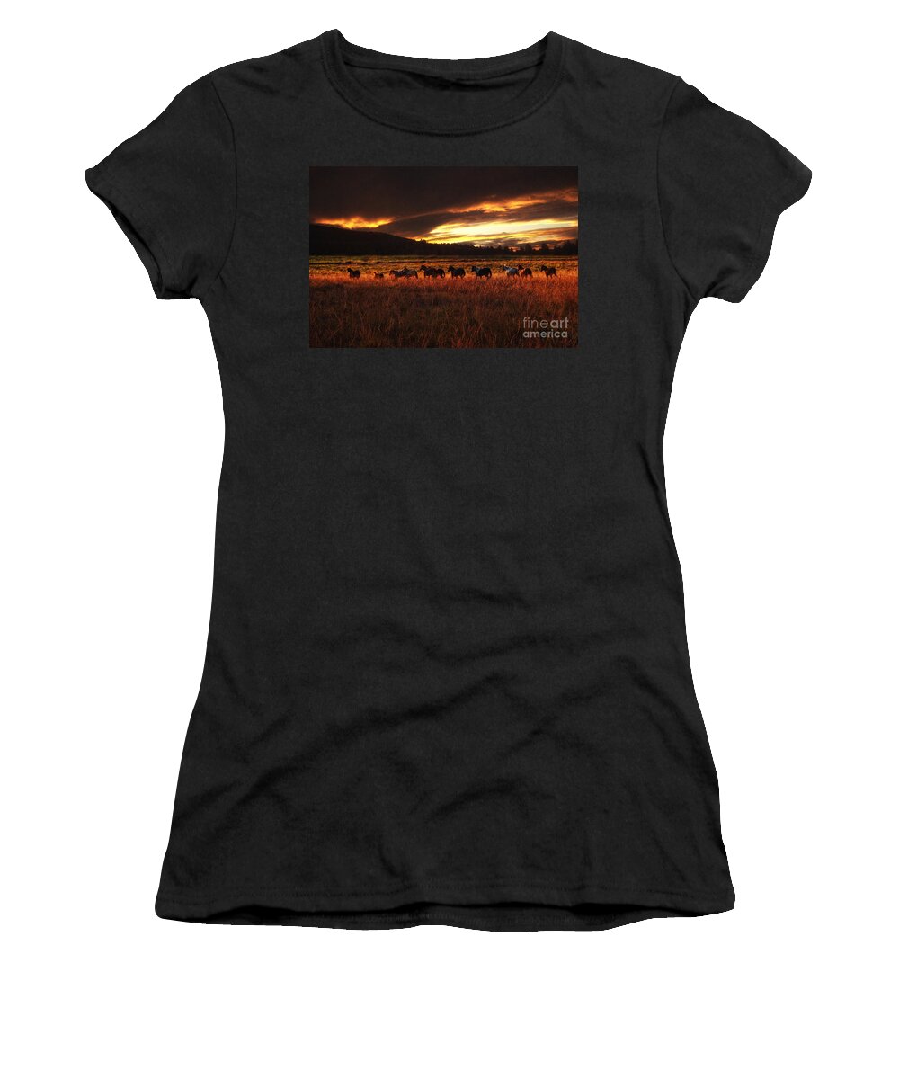 Equine Fine Art Women's T-Shirt featuring the photograph Evening Remuda by Annette Coady