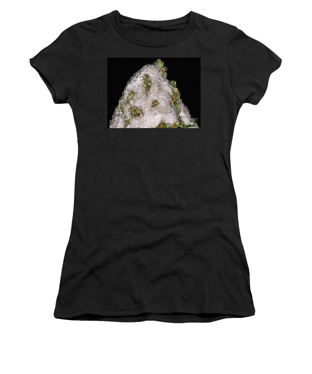 Evergreen Women's T-Shirt featuring the photograph Evergreen top after an ice storm by Les Palenik