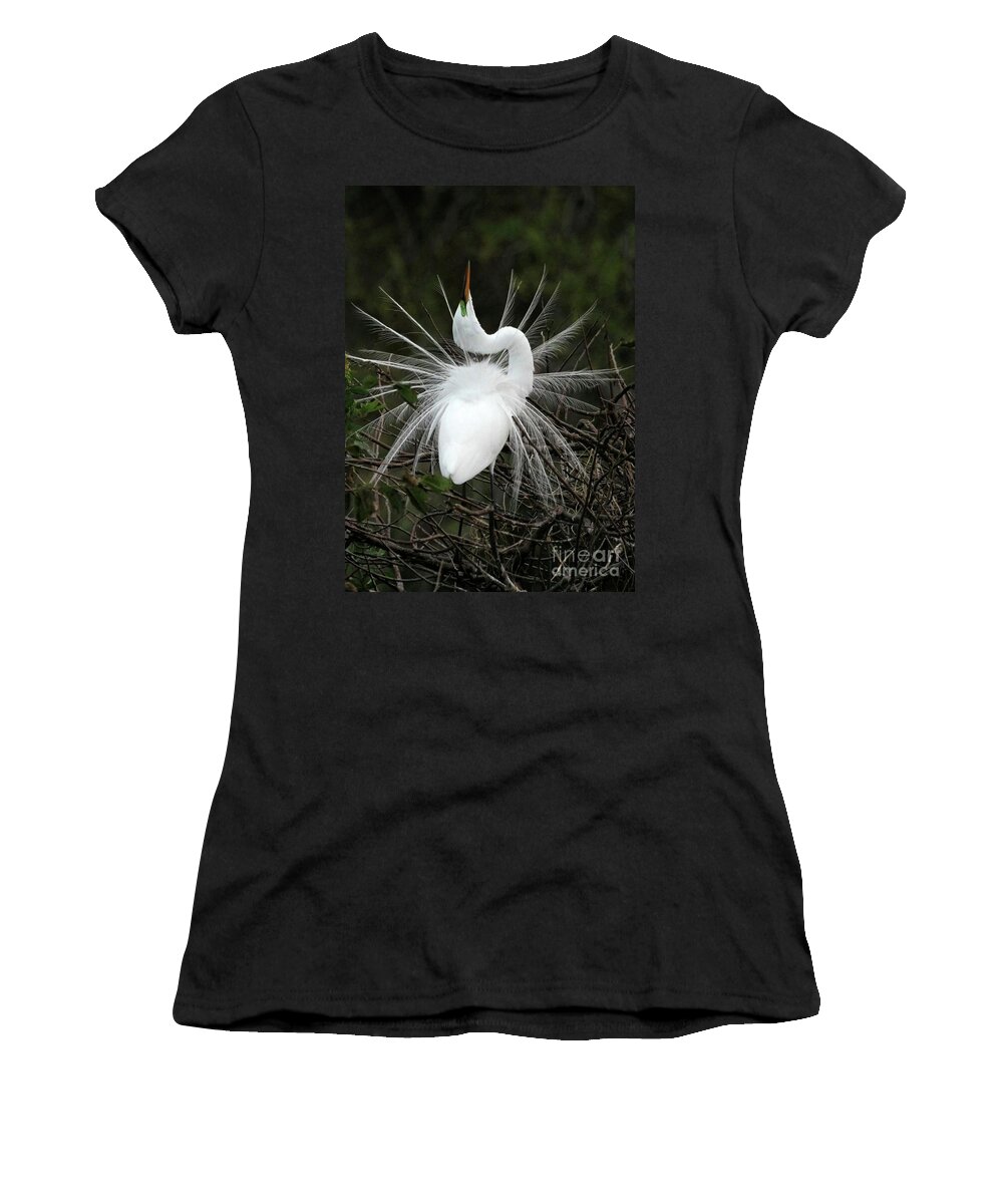 Great White Egret Women's T-Shirt featuring the photograph Fabulous Feathers by Sabrina L Ryan