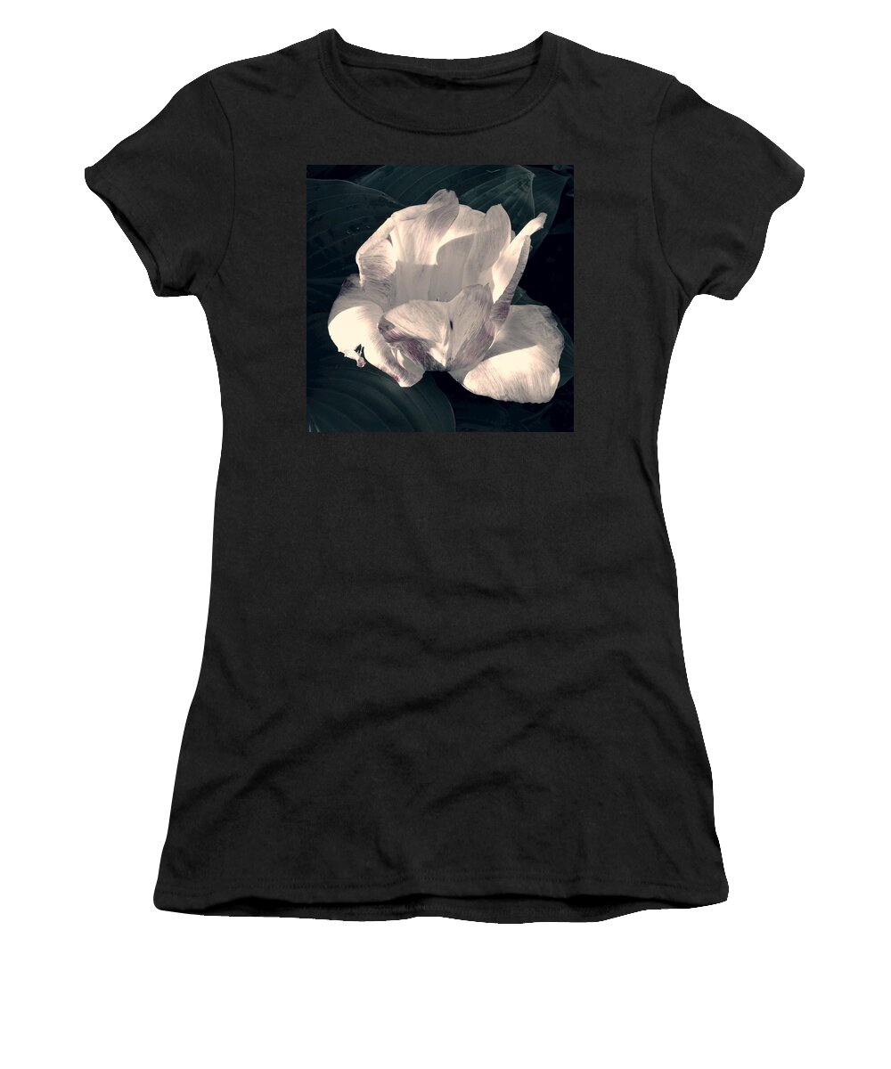 Tulip Women's T-Shirt featuring the photograph Faded Beauty by Photographic Arts And Design Studio