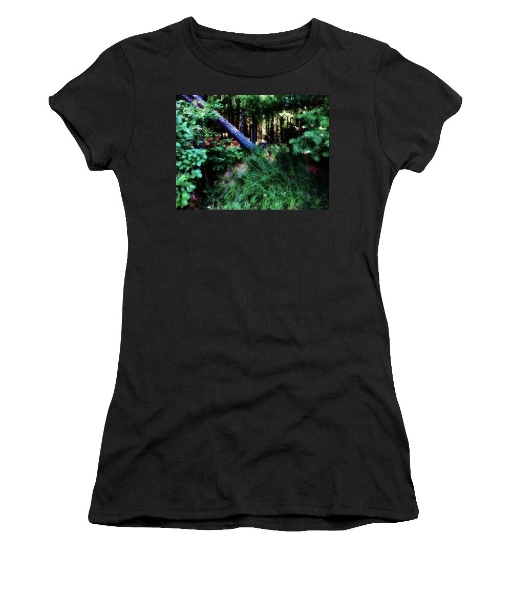 Jamie Lynn Gabrich Women's T-Shirt featuring the photograph Fairy Forest by JamieLynn Warber