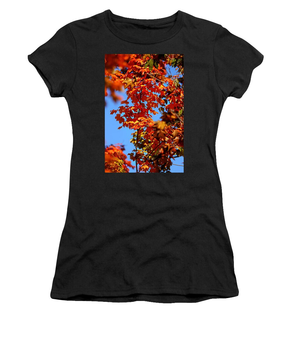 Autumn Women's T-Shirt featuring the photograph Fall Foliage Colors 15 by Metro DC Photography