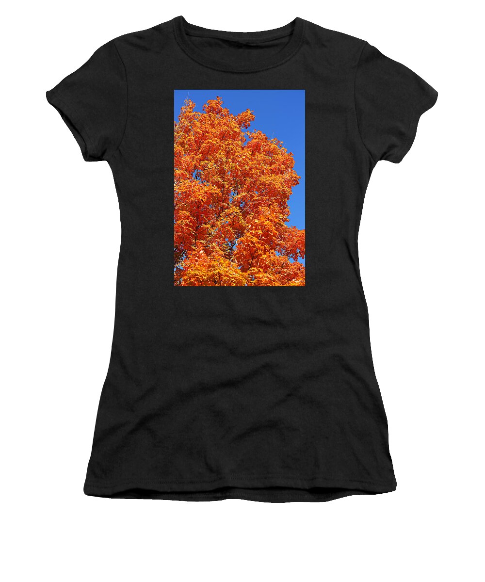 Autumn Women's T-Shirt featuring the photograph Fall Foliage Colors 18 by Metro DC Photography