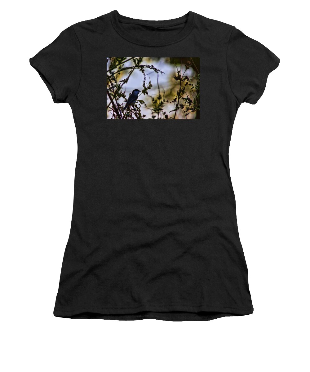 Temple Women's T-Shirt featuring the photograph Fall Silhouette by Gary Holmes