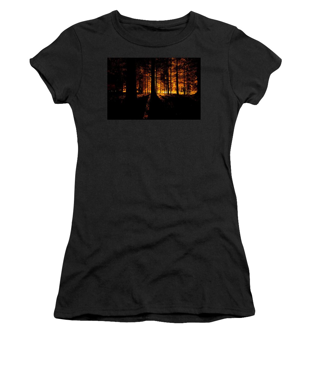 Back Women's T-Shirt featuring the photograph Fir trees back lit by U Schade