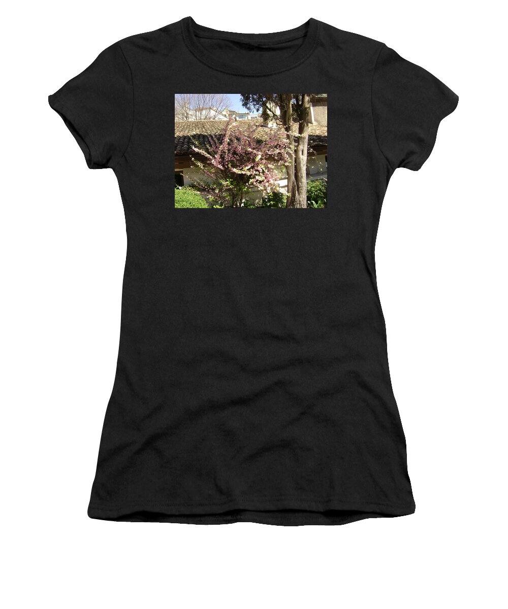 Flowers Women's T-Shirt featuring the photograph Flowering Tree by Moshe Harboun