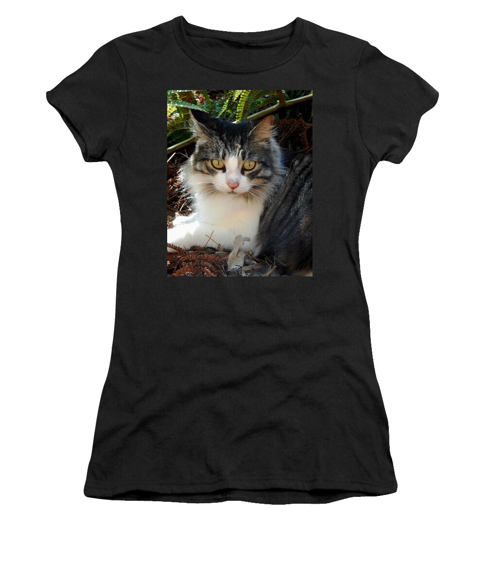 Cat Women's T-Shirt featuring the photograph Fluffy Cat by Pamela Walton