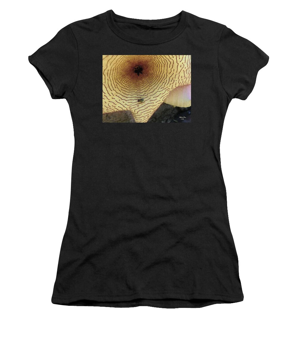 Flower Photograph Women's T-Shirt featuring the photograph Fly to Me by Michele Penn